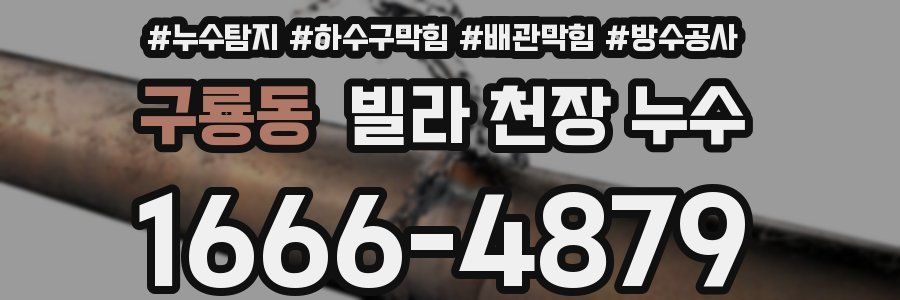 구룡동 빌라 천장 누수