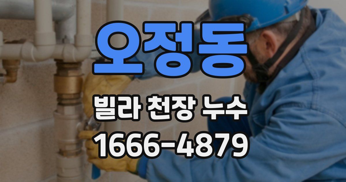 오정동 빌라 천장 누수