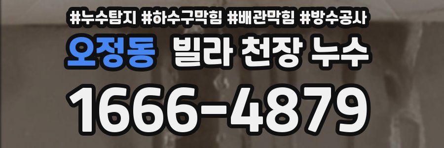 오정동 빌라 천장 누수