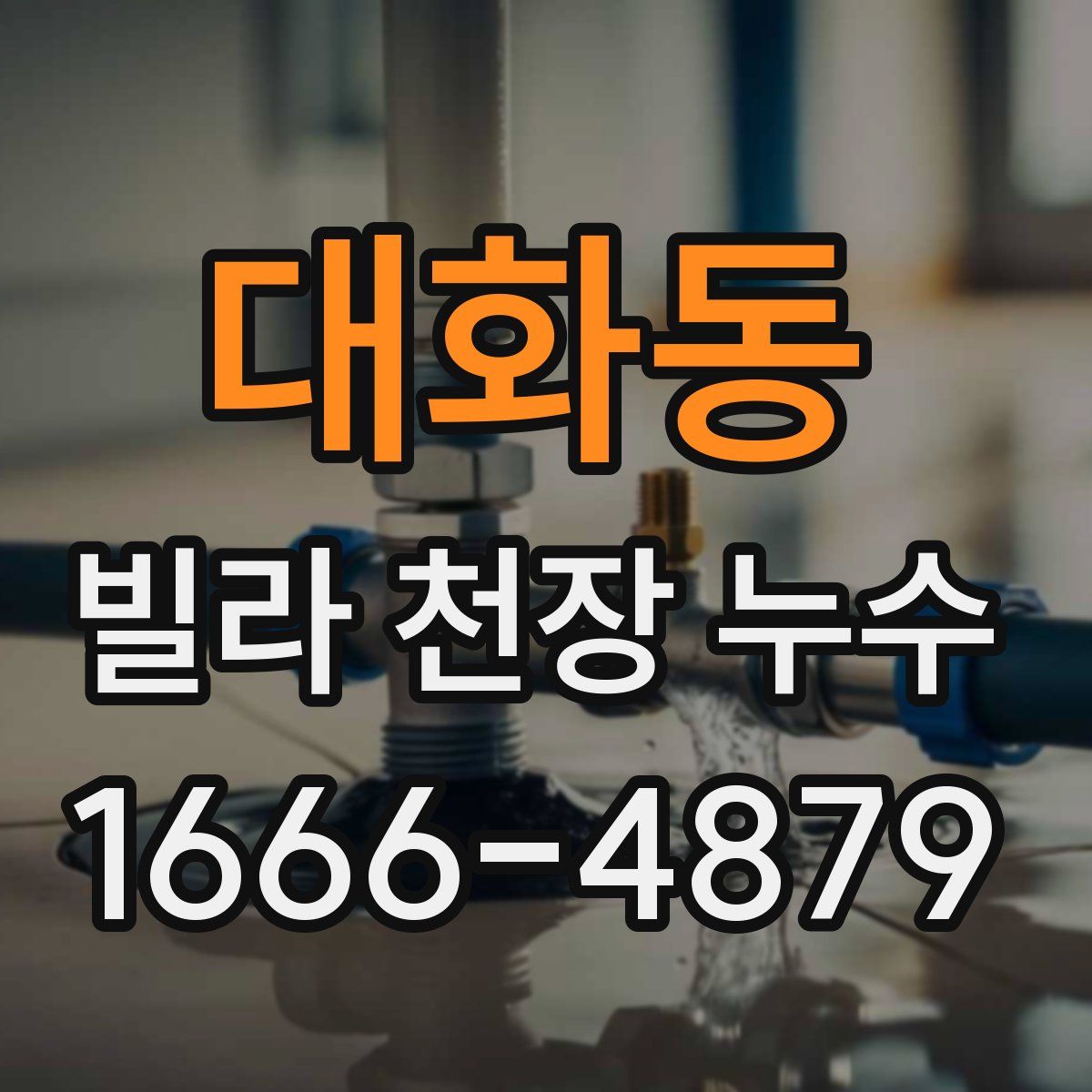 대화동 빌라 천장 누수