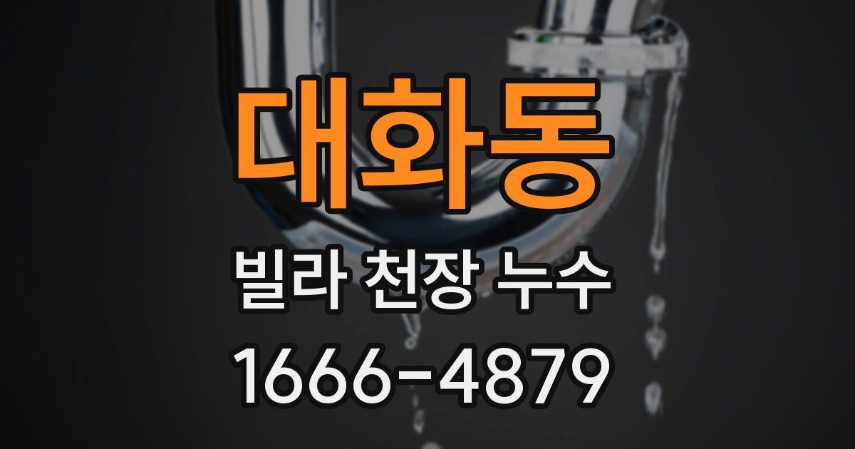 대화동 빌라 천장 누수