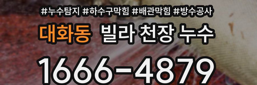 대화동 빌라 천장 누수