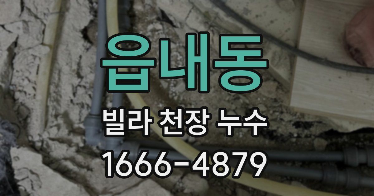 읍내동 빌라 천장 누수