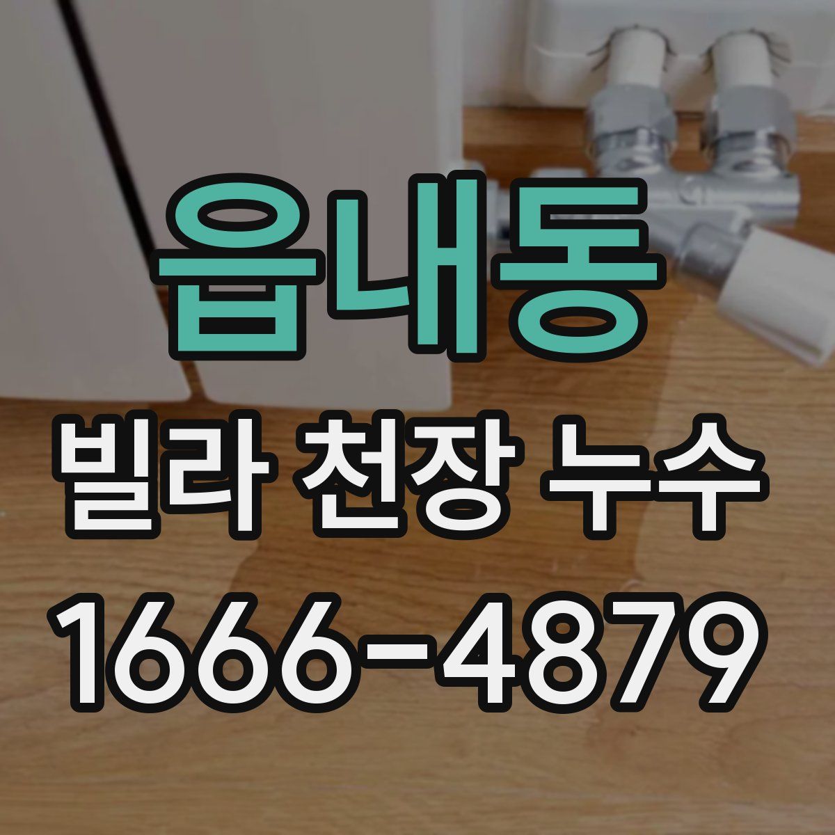 읍내동 빌라 천장 누수