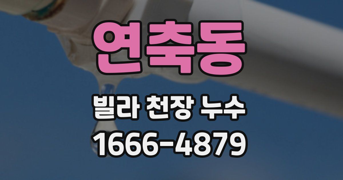 연축동 빌라 천장 누수