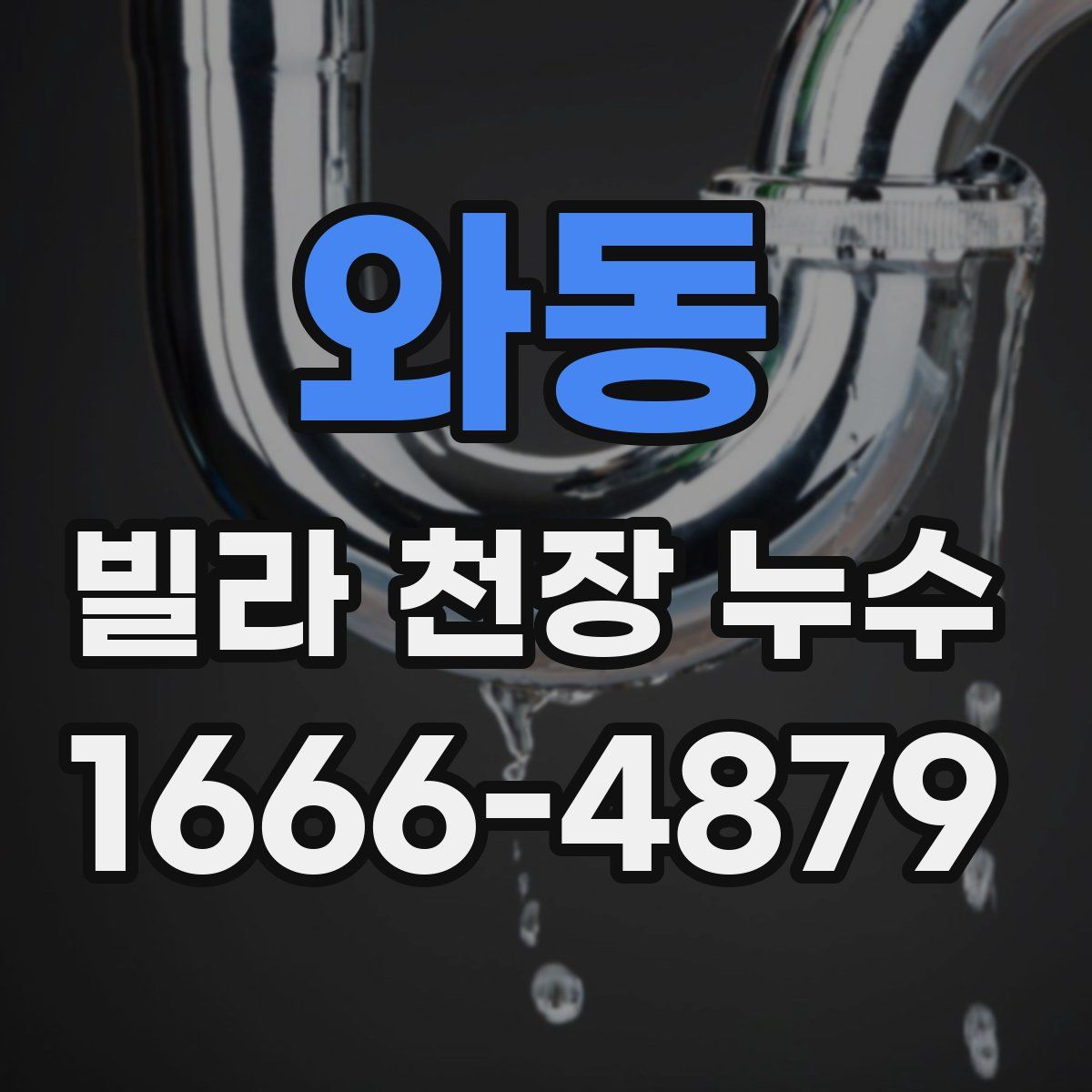 와동 빌라 천장 누수