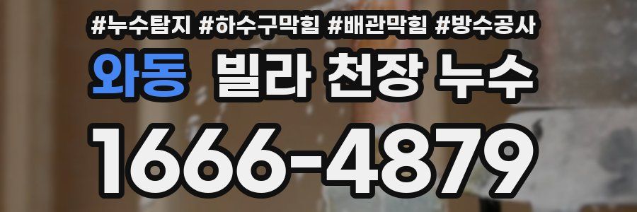 와동 빌라 천장 누수