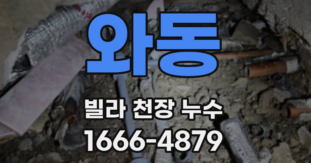 와동 빌라 천장 누수