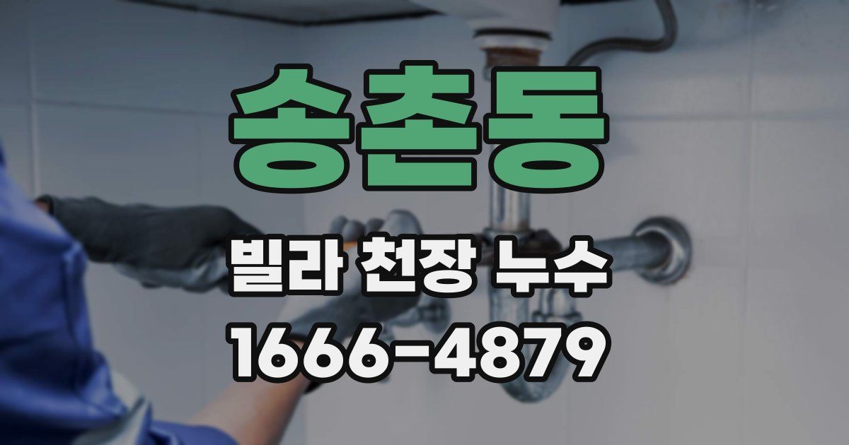송촌동 빌라 천장 누수