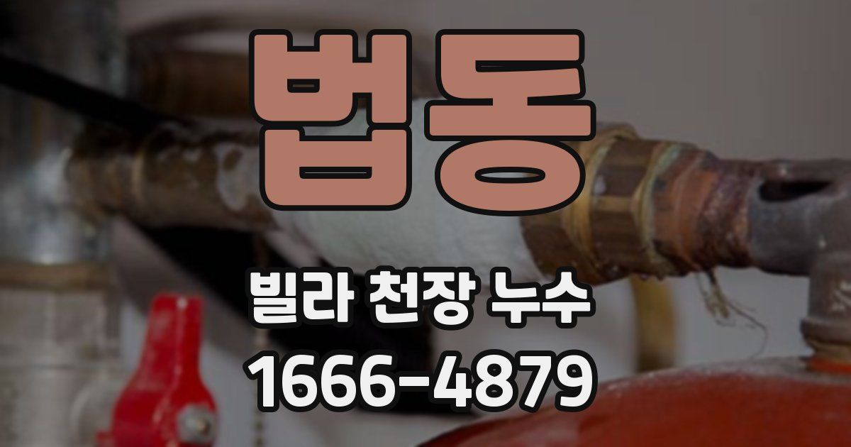 법동 빌라 천장 누수