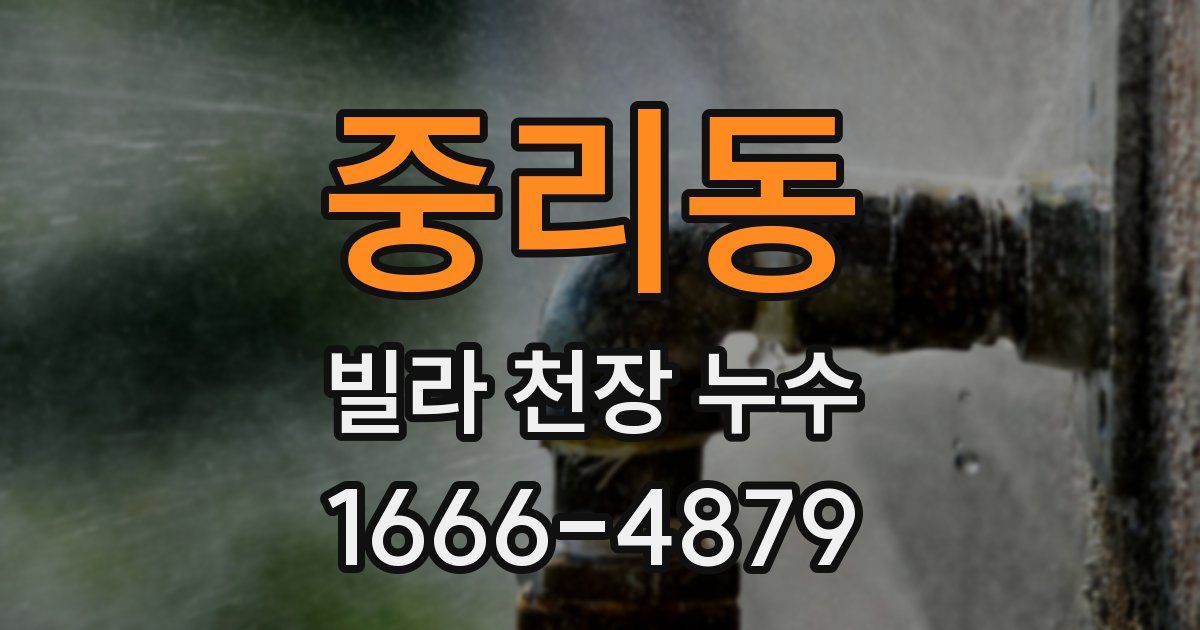중리동 빌라 천장 누수