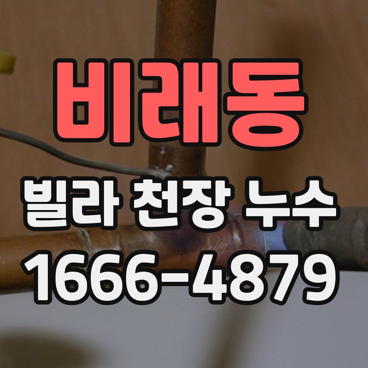 비래동 빌라 천장 누수