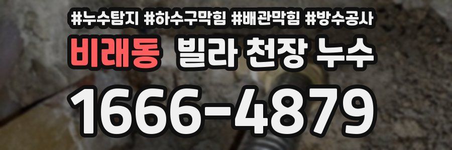 비래동 빌라 천장 누수