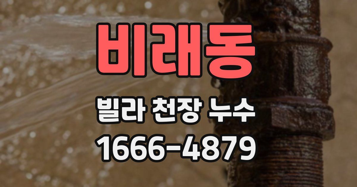 비래동 빌라 천장 누수