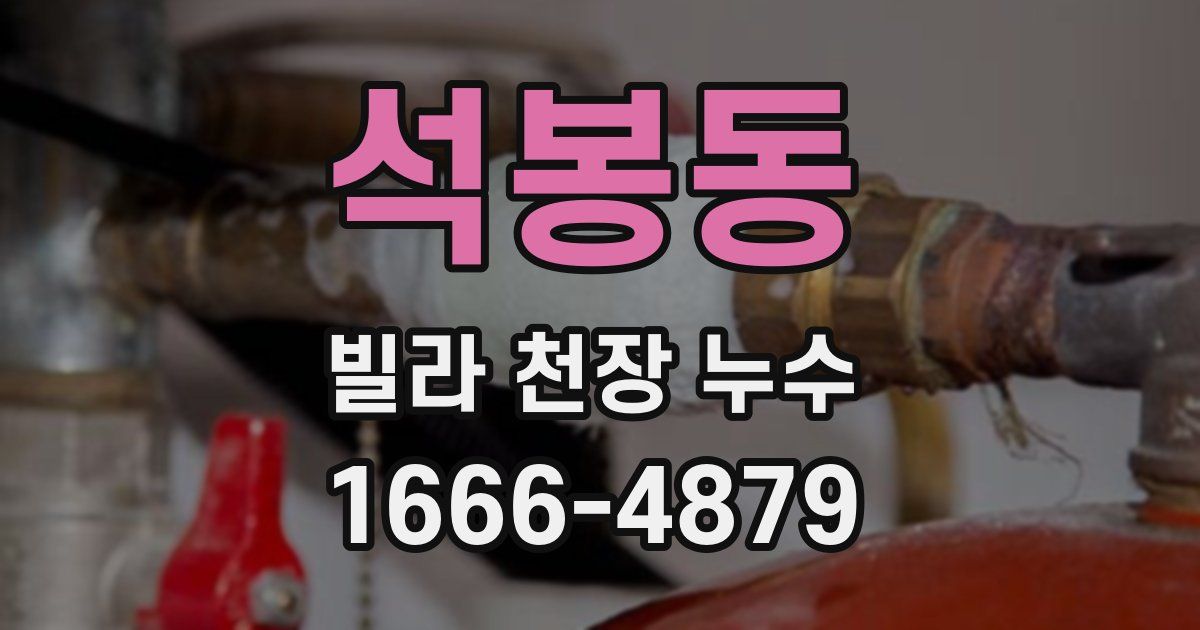 석봉동 빌라 천장 누수
