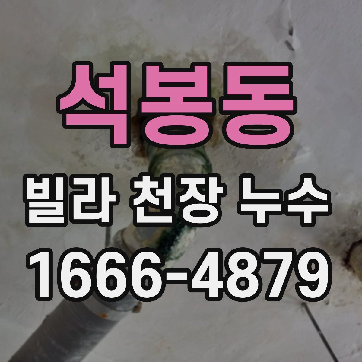 석봉동 빌라 천장 누수