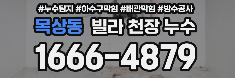 목상동 빌라 천장 누수