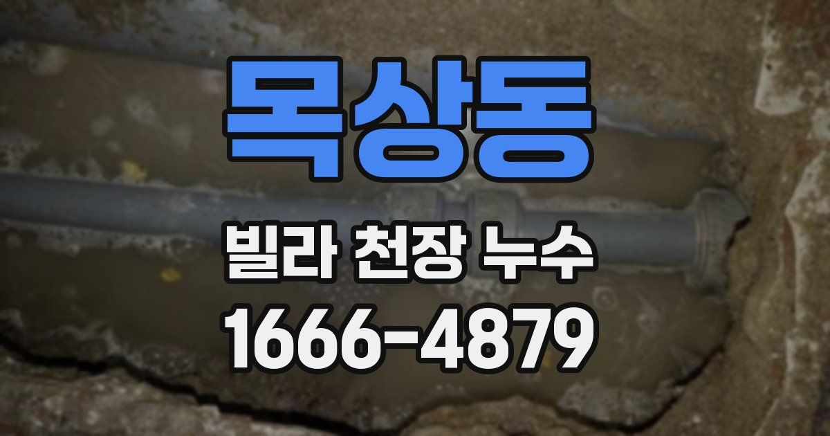 목상동 빌라 천장 누수