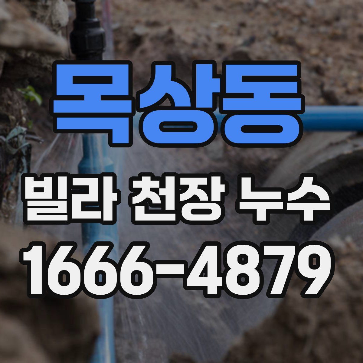 목상동 빌라 천장 누수