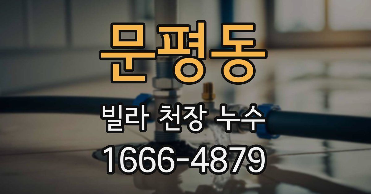 문평동 빌라 천장 누수