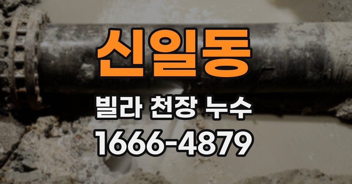 신일동 빌라 천장 누수