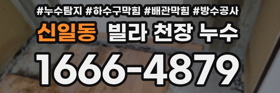 신일동 빌라 천장 누수