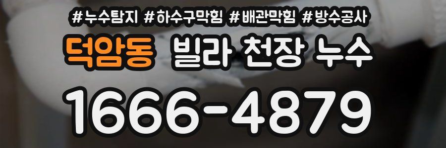 덕암동 빌라 천장 누수