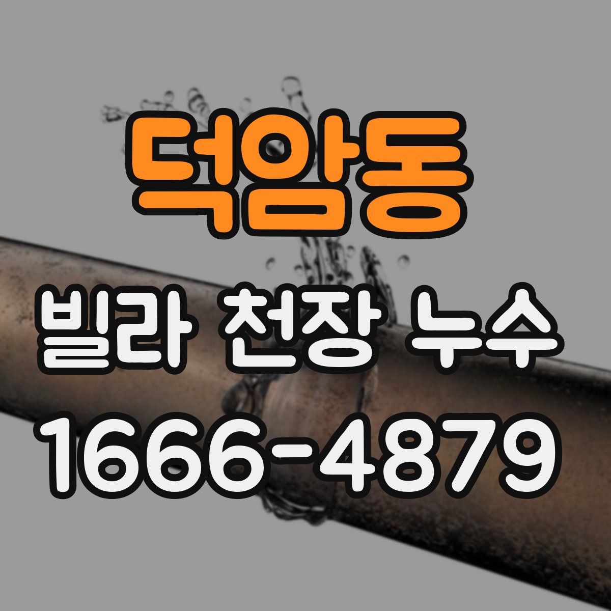 덕암동 빌라 천장 누수
