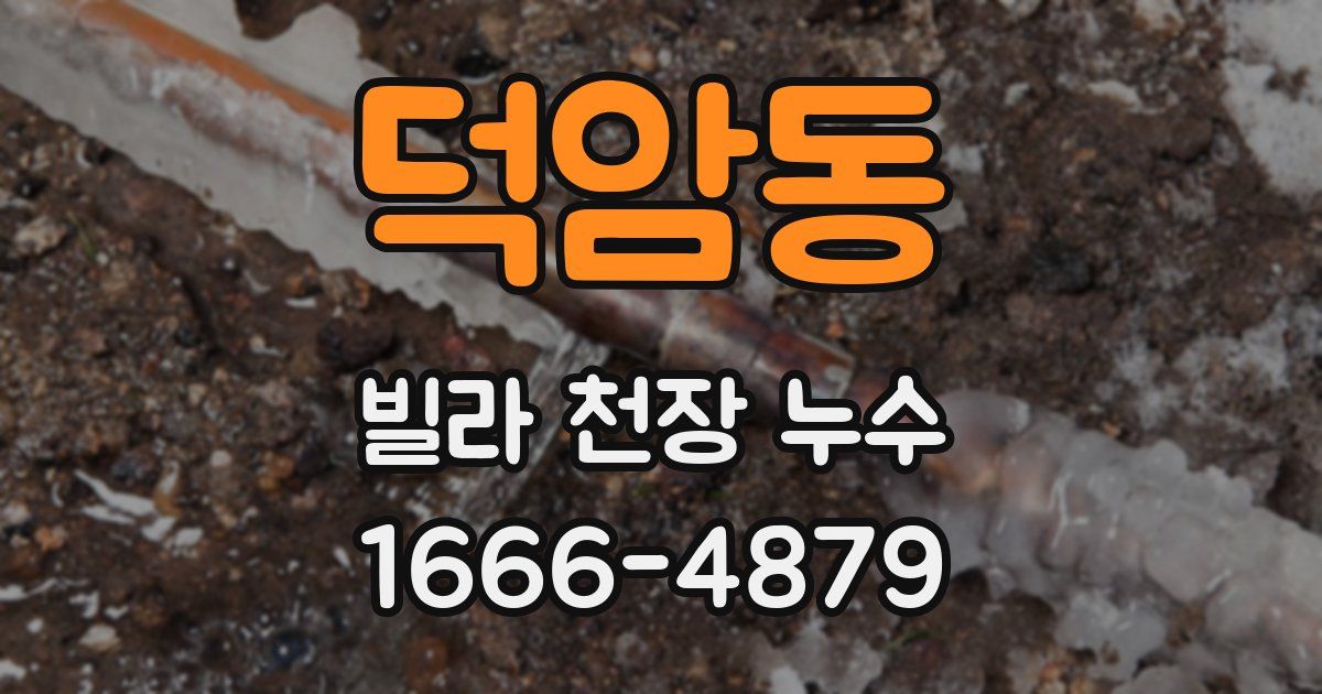 덕암동 빌라 천장 누수