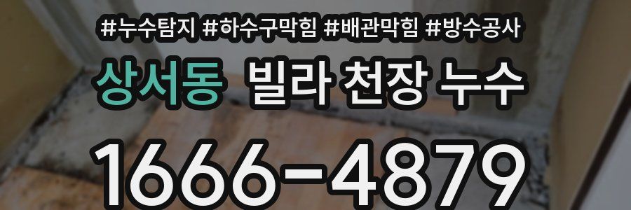 상서동 빌라 천장 누수