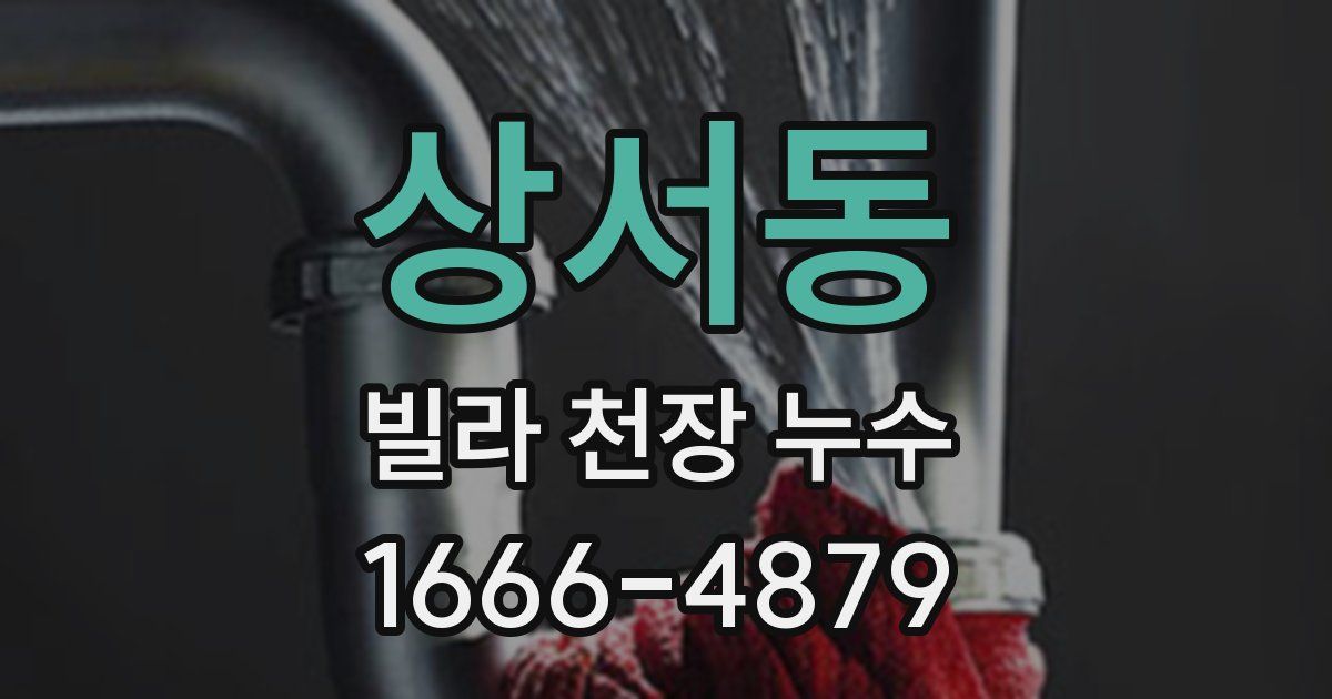 상서동 빌라 천장 누수