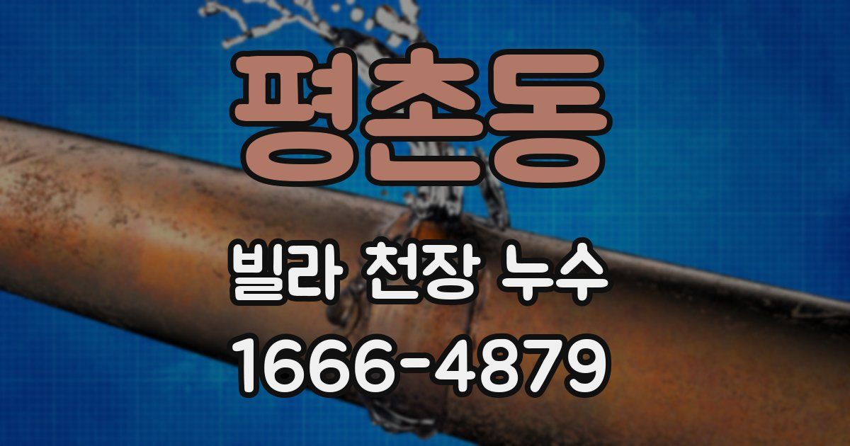 평촌동 빌라 천장 누수