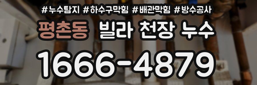 평촌동 빌라 천장 누수