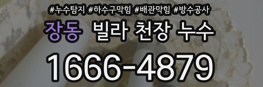 장동 빌라 천장 누수