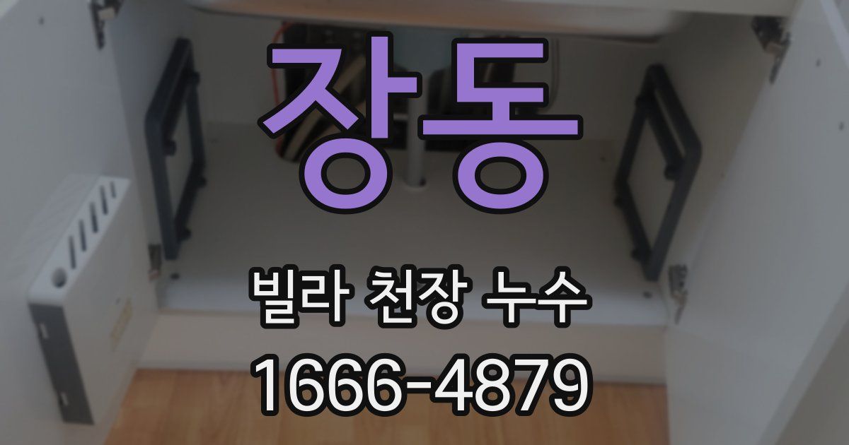 장동 빌라 천장 누수