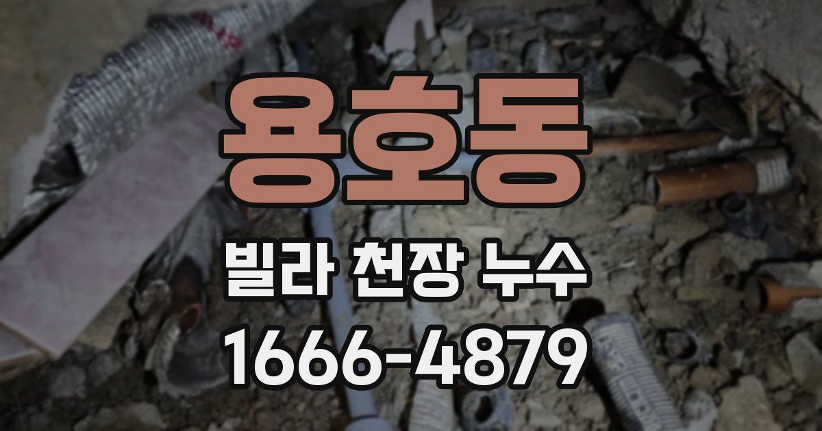 용호동 빌라 천장 누수