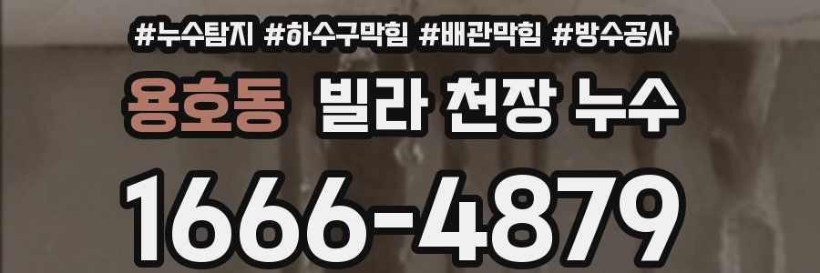 용호동 빌라 천장 누수