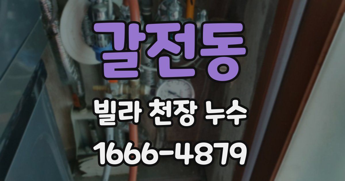 갈전동 빌라 천장 누수