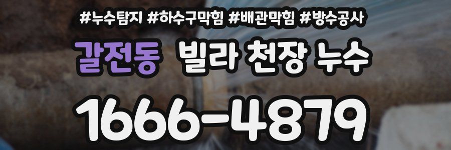 갈전동 빌라 천장 누수