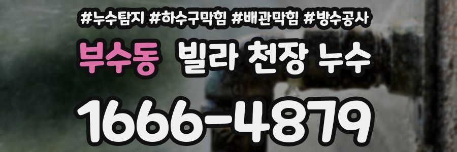 부수동 빌라 천장 누수