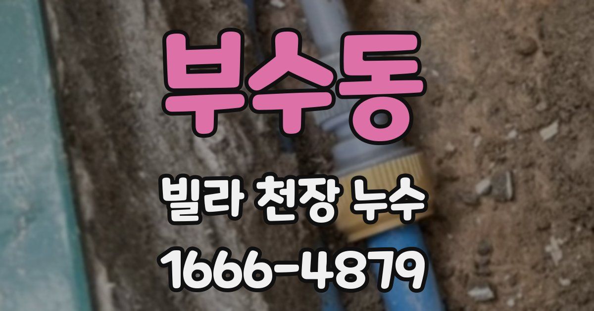 부수동 빌라 천장 누수