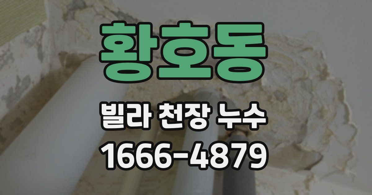 황호동 빌라 천장 누수