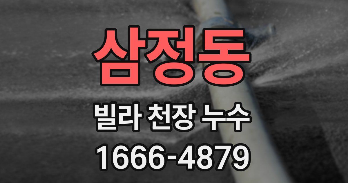 삼정동 빌라 천장 누수