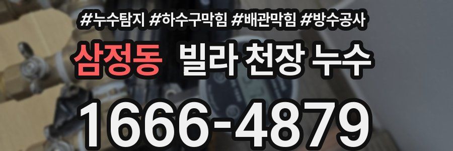 삼정동 빌라 천장 누수