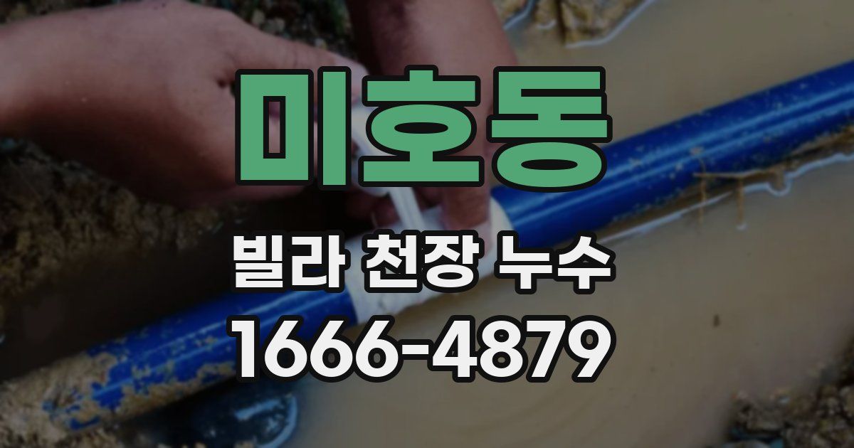 미호동 빌라 천장 누수