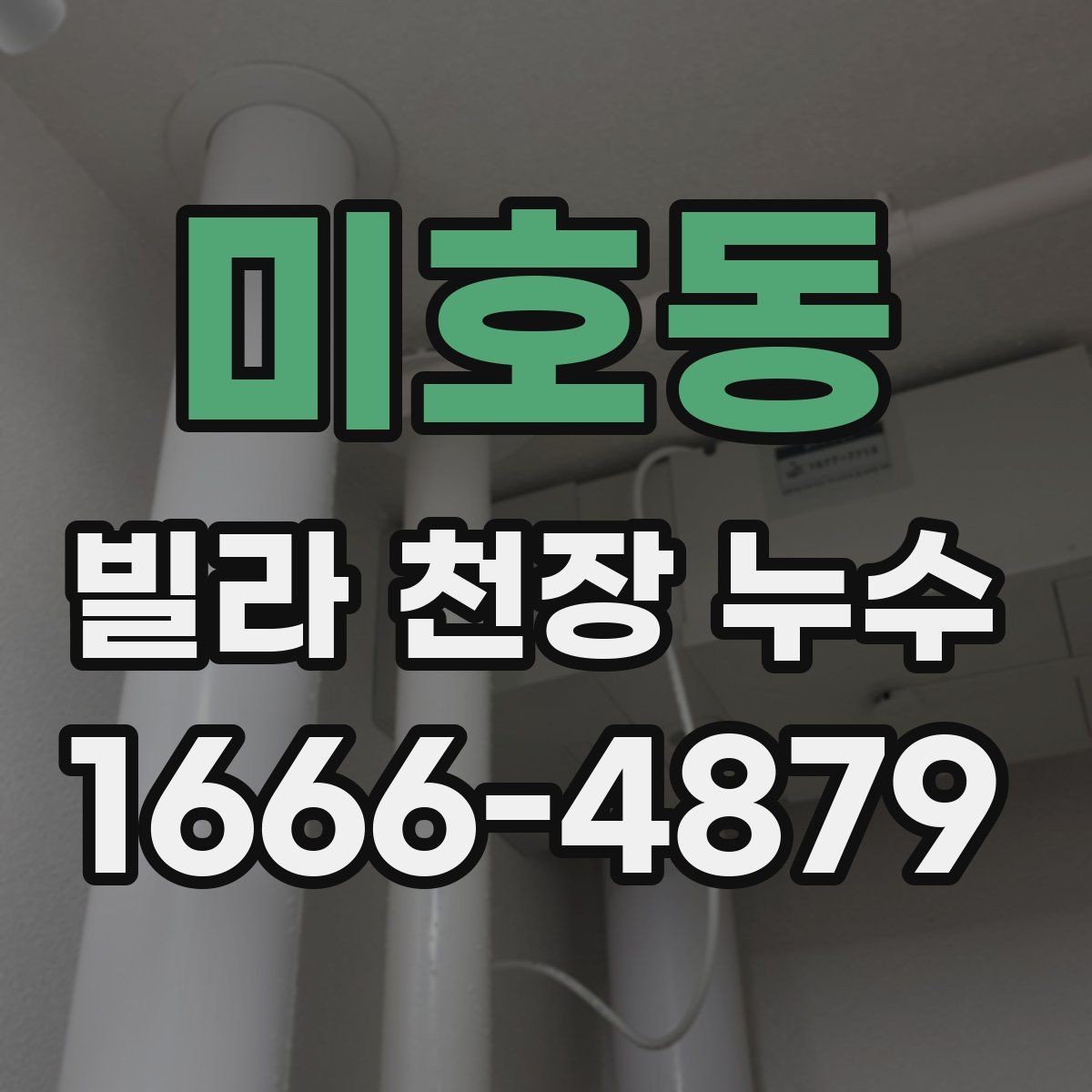 미호동 빌라 천장 누수