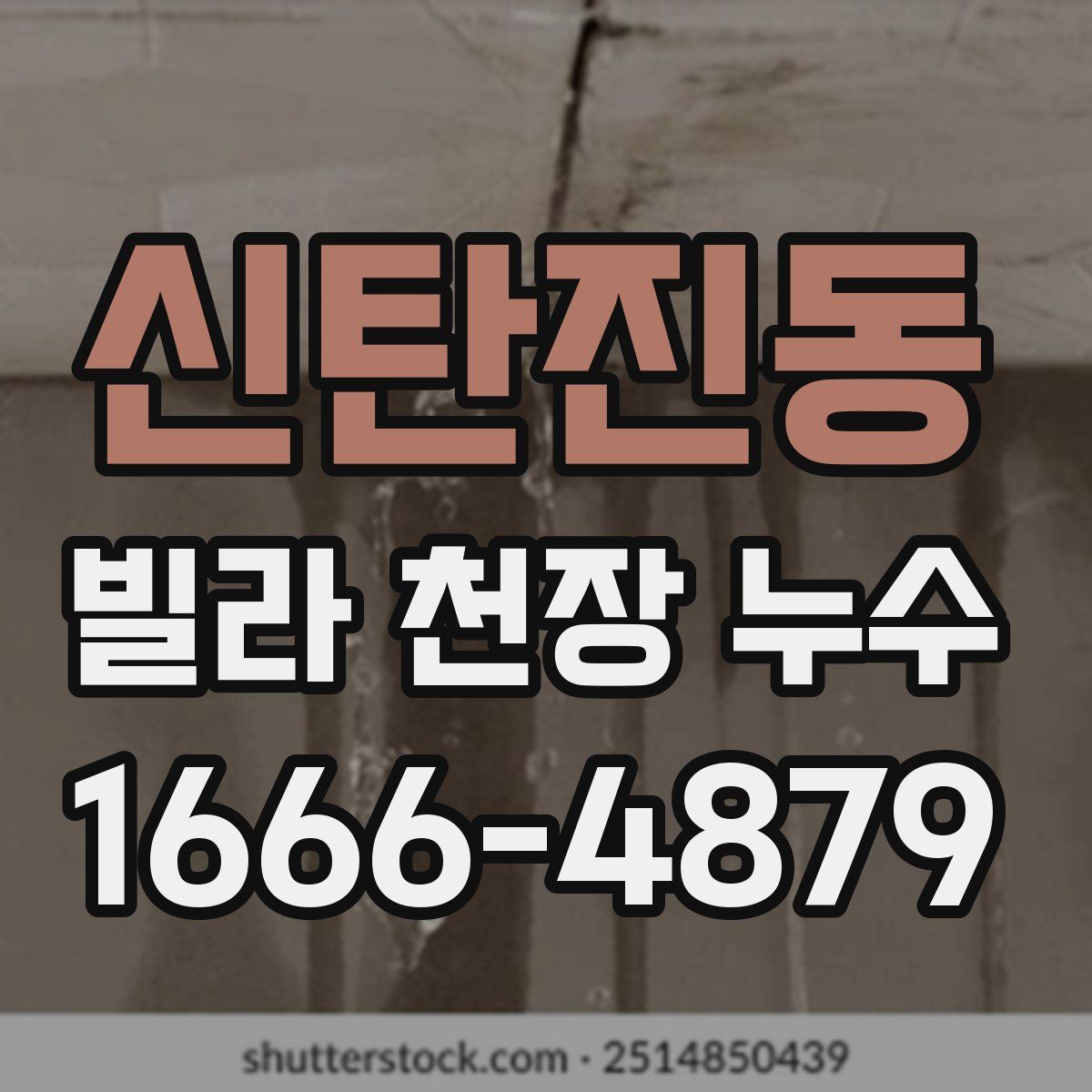 신탄진동 빌라 천장 누수