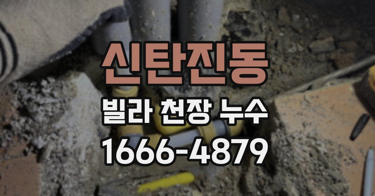 신탄진동 빌라 천장 누수