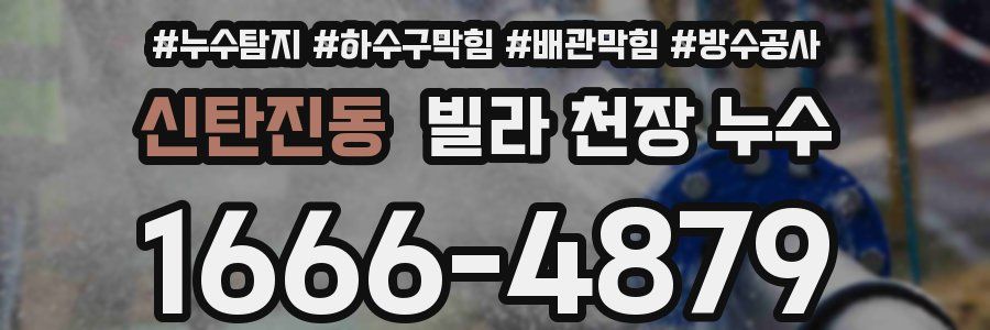 신탄진동 빌라 천장 누수