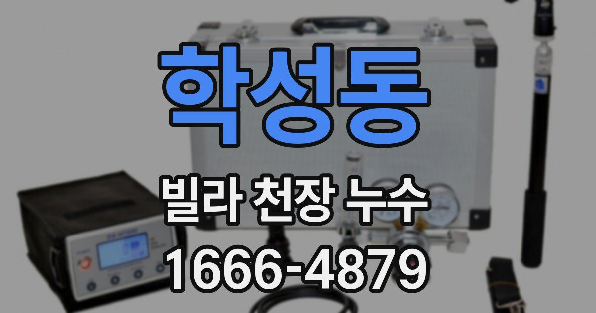 학성동 빌라 천장 누수